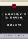 Voorkant Levin 'A madman dreams of Turing machines'